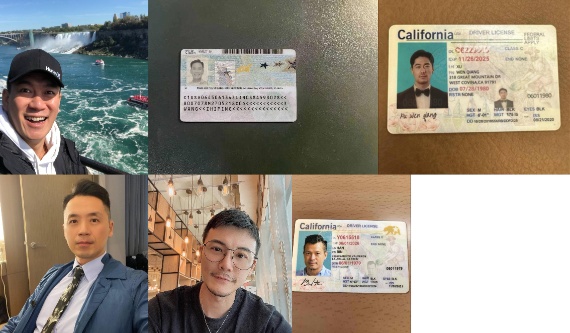 投資詐騙案件證據 - 虛假收益報告